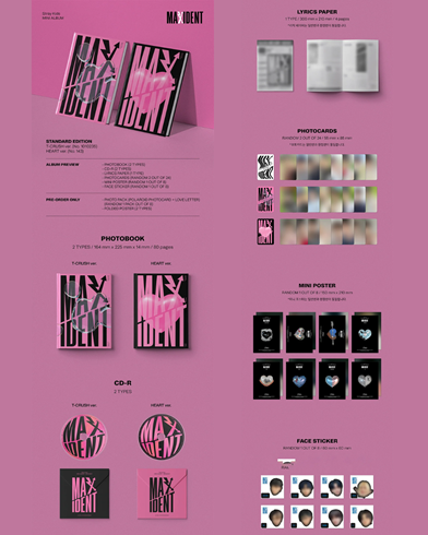 STRAY KIDS - MAXIDENT