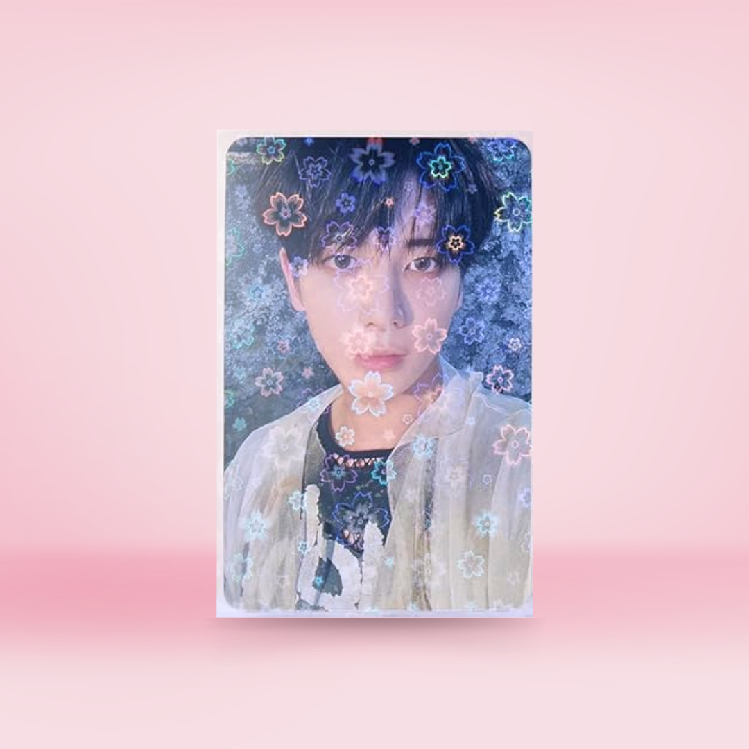 Sakura photocard sleeves