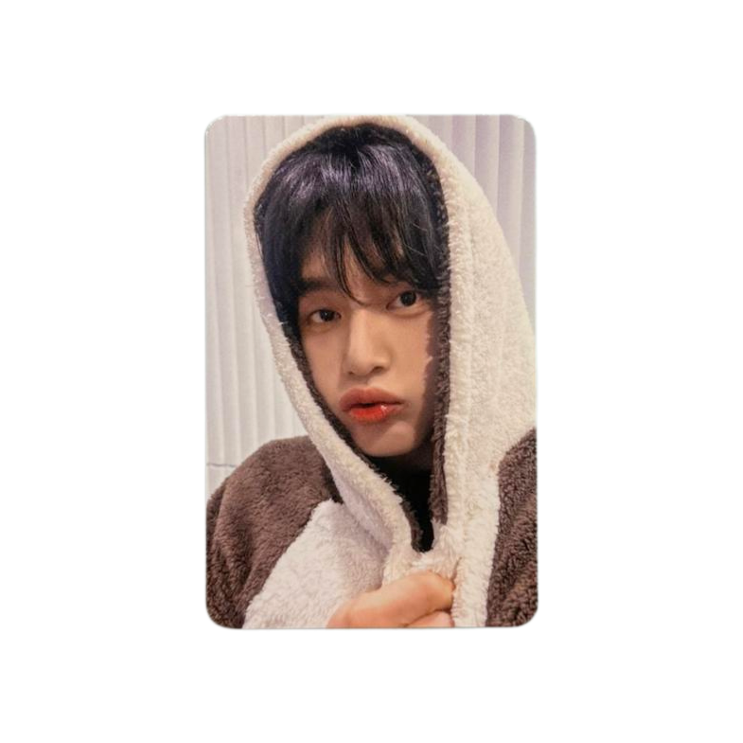 Zerobaseone - Makestar "Blue Paradise" fansign event photocard