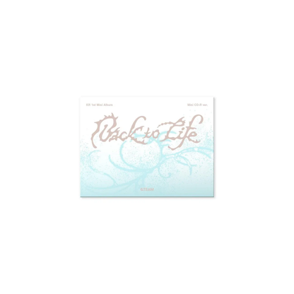 &TEAM - BACK TO LIFE (PHOTOCARD BOX) (MINI CD VER.)