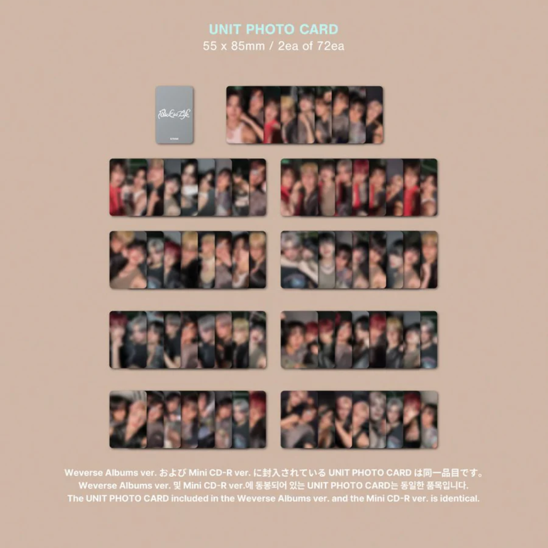 &TEAM - BACK TO LIFE (PHOTOCARD BOX) (MINI CD VER.)