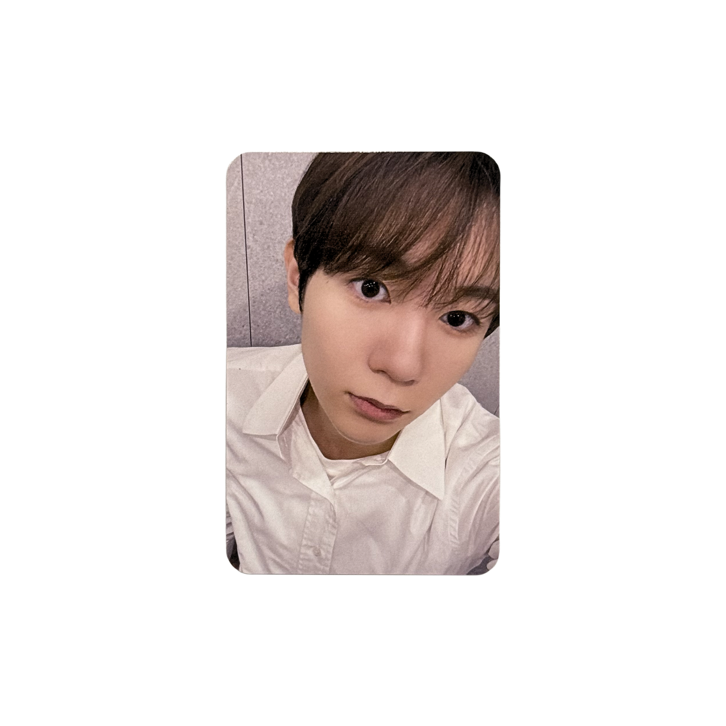 NCT WISH - "Steady" POB Photocard