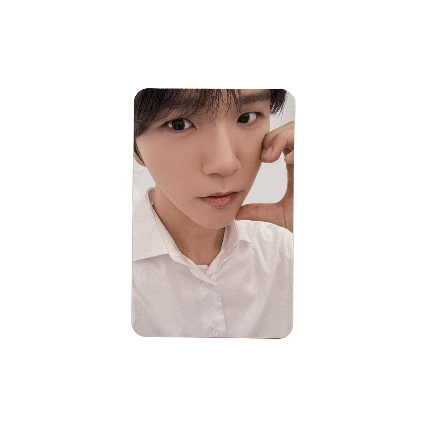 NCT WISH - "Steady" POB Photocard