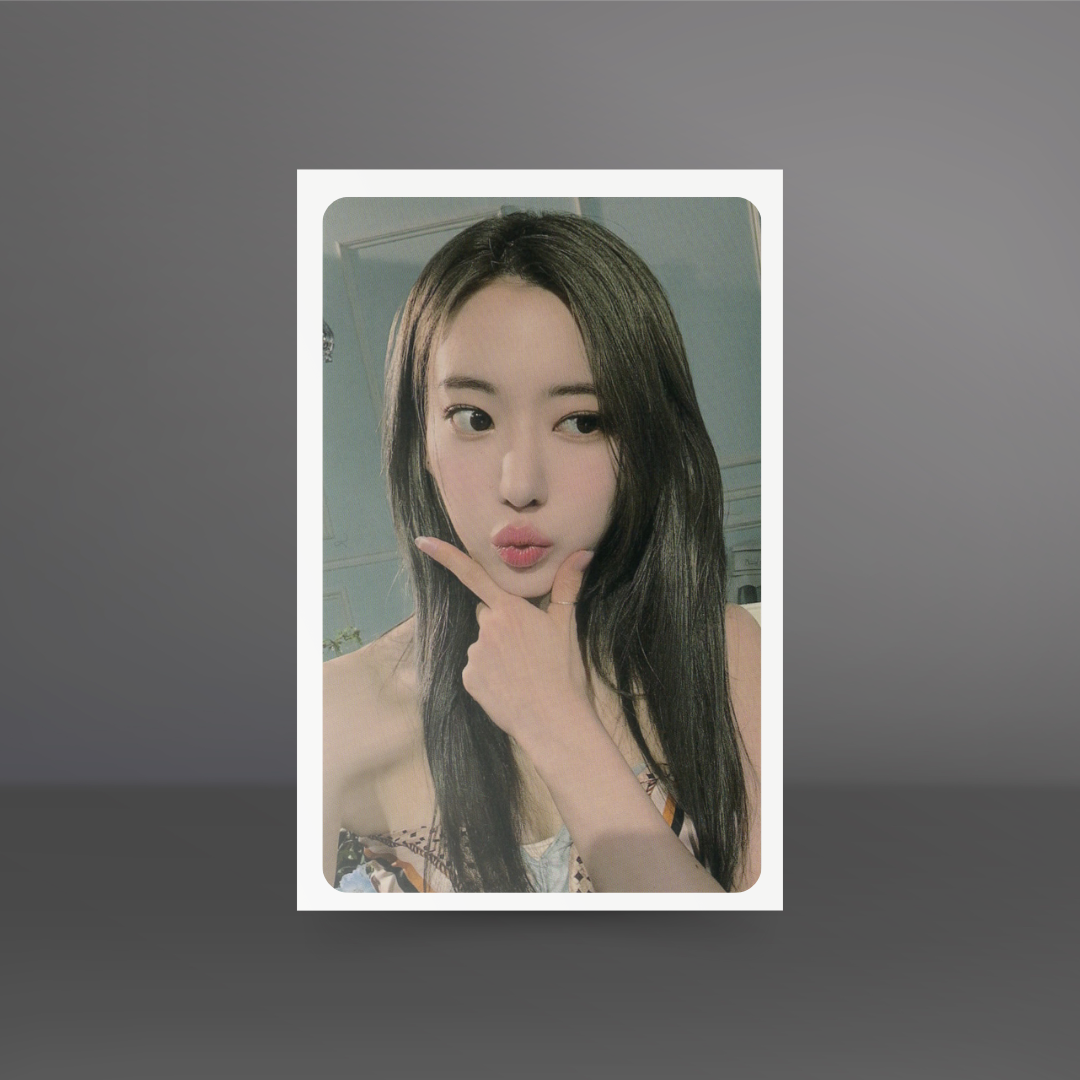 Color photocard sleeves - beli