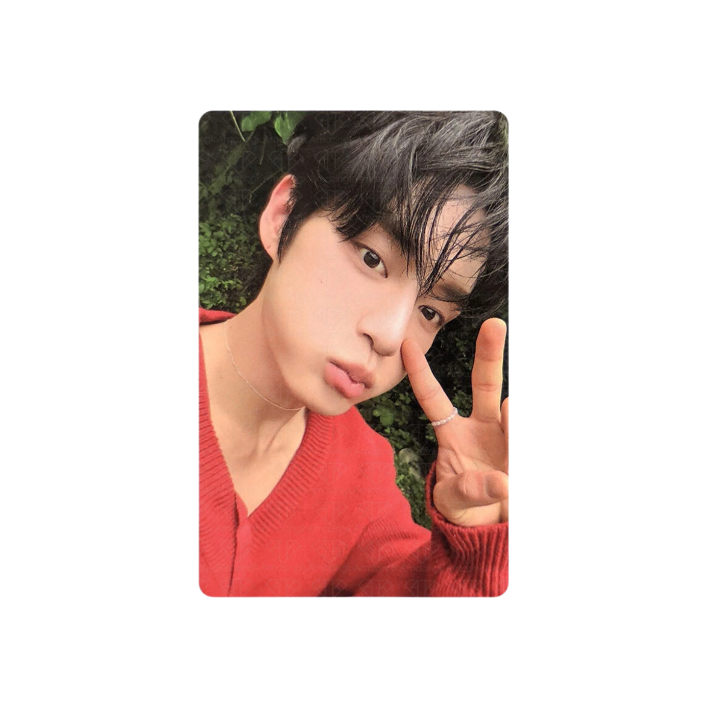 Zerobaseone - Cinema Paradise album photocard